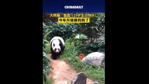 中國日報(bào) 信息網(wǎng)絡(luò)傳播視聽節(jié)目的規(guī)范與發(fā)展
